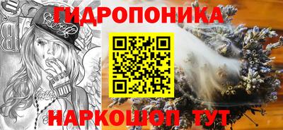 спиды Лесосибирск